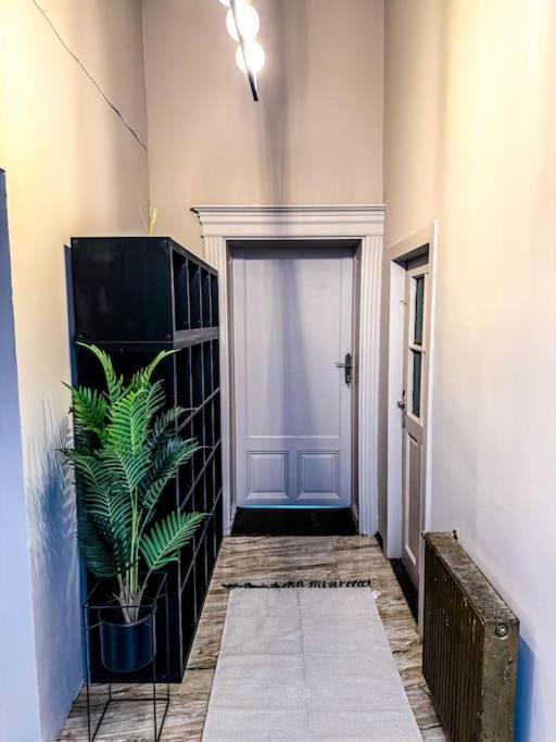 Cozy & Charming Apt. Downtown Apartment