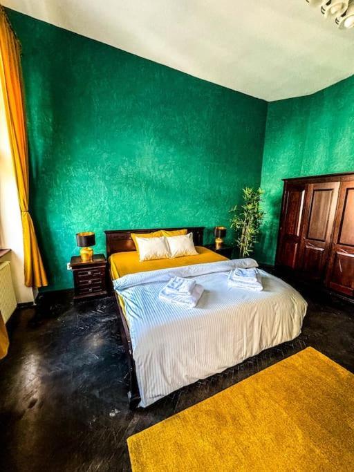 Apartment Cozy & Charming Apt. Downtown Timişoara
